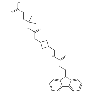 2172114-47-3 structure