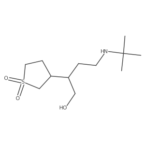 3-[4-(Tert-butylamino)-1-hydroxybutan-2-yl]-1lambda6-thiolane-1,1-dione结构式