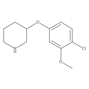 3-(4-Chloro-3-methoxyphenoxy)piperidine Structure