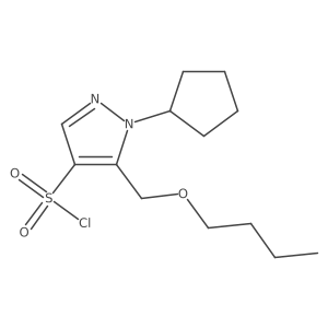 5-(butoxymethyl)-1-cyclopentyl-1H-pyrazole-4-sulfonyl chloride结构式