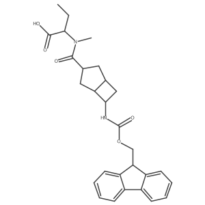 2171616-21-8 structure