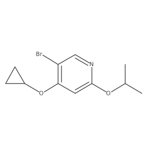 1243410-88-9 structure