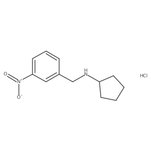N-[(3-Nitrophenyl)methyl]cyclopentanamine hydrochloride结构式
