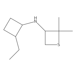 N-(2-Ethylcyclobutyl)-2,2-dimethylthietan-3-amine Structure