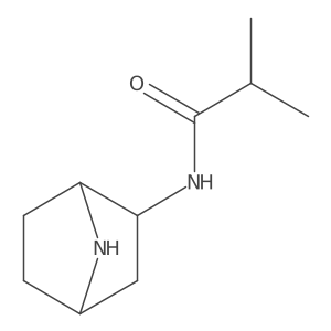 N-(7-Azabicyclo[2.2.1]heptan-2-yl)-2-methylpropanamide结构式