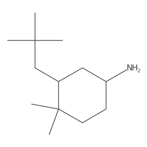 3-(2,2-Dimethylpropyl)-4,4-dimethylcyclohexan-1-amine Structure