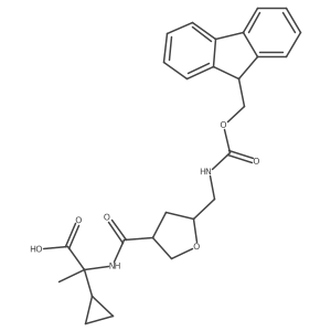 2172168-57-7 structure