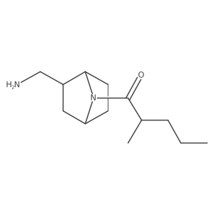 1-[2-(Aminomethyl)-7-azabicyclo[2.2.1]heptan-7-yl]-2-methylpentan-1-one Structure