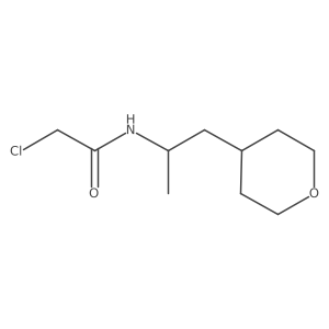 2-Chloro-N-[1-(oxan-4-yl)propan-2-yl]acetamide Structure