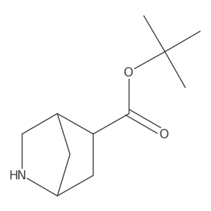 tert-butyl (1S,4R,5R)-2-azabicyclo[2.2.1]heptane-5-carboxylate结构式