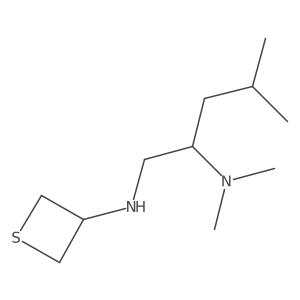 N2,N2,4-Trimethyl-N1-(thietan-3-yl)pentane-1,2-diamine结构式
