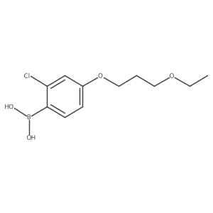 (2-Chloro-4-(3-ethoxypropoxy)phenyl)boronic acid结构式