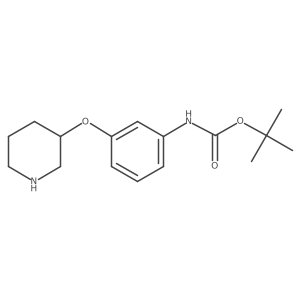 tert-butyl N-[3-(piperidin-3-yloxy)phenyl]carbamate Structure