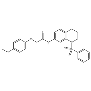 2-(4-methoxyphenoxy)-N-(1-(phenylsulfonyl)-1,2,3,4-tetrahydroquinolin-7-yl)acetamide结构式