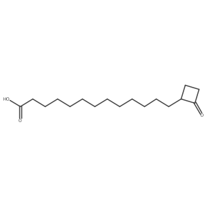 13-(2-Oxocyclobutyl)tridecanoic acid Structure