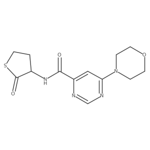 6-morpholino-N-(2-oxotetrahydrothiophen-3-yl)pyrimidine-4-carboxamide结构式