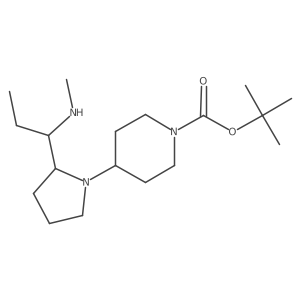 tert-Butyl 4-(2-(1-(methylamino)propyl)pyrrolidin-1-yl)piperidine-1-carboxylate结构式