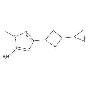 3-(3-cyclopropylcyclobutyl)-1-methyl-1H-pyrazol-5-amine Structure