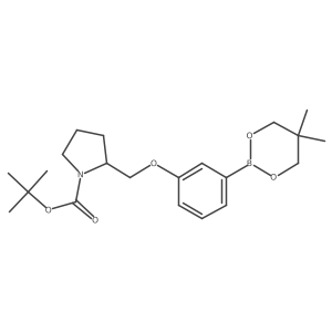 Tert-butyl 2-{[3-(5,5-dimethyl-1,3,2-dioxaborinan-2-YL)phenoxy]methyl}pyrrolidine-1-carboxylate结构式