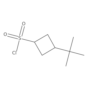 3-Tert-butylcyclobutane-1-sulfonyl chloride结构式