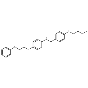 N-[4-(2-Methoxyethoxy)benzyl]-4-(2-phenoxyethoxy)-aniline结构式