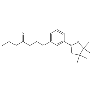 3-[3-(4,4,5,5-Tetramethyl-[1,3,2]dioxaborolan-2-yl)-phenoxy]-propionic acid ethyl ester Structure