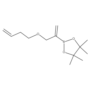 2-(3-But-3-enoxyprop-1-en-2-yl)-4,4,5,5-tetramethyl-1,3,2-dioxaborolane Structure