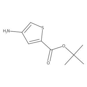 Tert-butyl 4-aminothiophene-2-carboxylate结构式