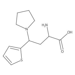 2-Amino-4-(pyrrolidin-1-yl)-4-(thiophen-2-yl)butanoic acid Structure