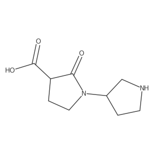 2-Oxo-1-(pyrrolidin-3-yl)pyrrolidine-3-carboxylic acid结构式
