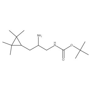 tert-butyl N-[2-amino-3-(2,2,3,3-tetramethylcyclopropyl)propyl]carbamate结构式