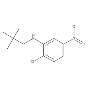 2-Chloro-N-(2,2-dimethylpropyl)-5-nitrobenzenamine结构式