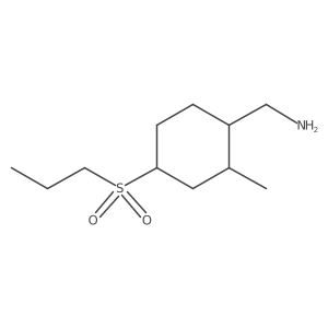 [2-Methyl-4-(propane-1-sulfonyl)cyclohexyl]methanamine Structure