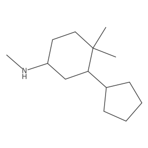 3-cyclopentyl-N,4,4-trimethylcyclohexan-1-amine Structure