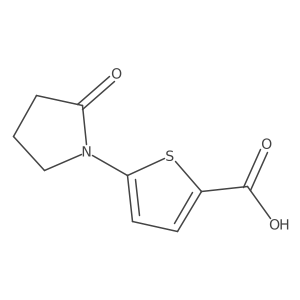 5-(2-Oxopyrrolidin-1-yl)thiophene-2-carboxylic acid结构式