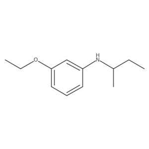N-(Butan-2-yl)-3-ethoxyaniline Structure