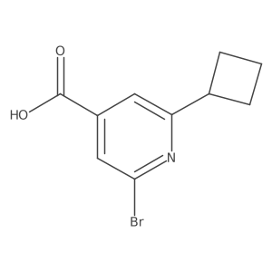 2137916-17-5 structure