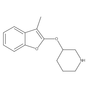 3-[(3-Methyl-1-benzofuran-2-yl)oxy]piperidine Structure