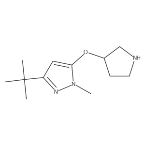 3-tert-butyl-1-methyl-5-(pyrrolidin-3-yloxy)-1H-pyrazole结构式