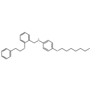 4-(Heptyloxy)-N-[2-(phenethyloxy)benzyl]aniline结构式