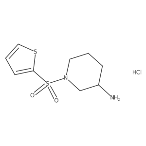 1-(Thiophen-2-ylsulfonyl)piperidin-3-amine hydrochloride Structure