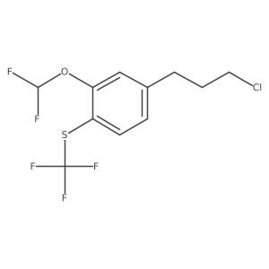 1-(3-Chloropropyl)-3-(difluoromethoxy)-4-(trifluoromethylthio)benzene结构式