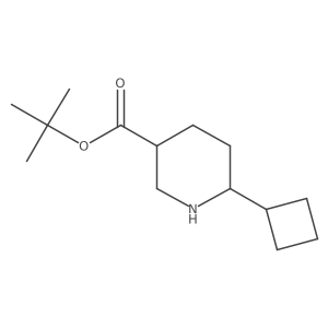 rac-tert-butyl (3R,6S)-6-cyclobutylpiperidine-3-carboxylate结构式