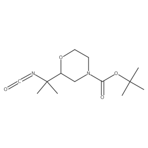 Tert-butyl 2-(2-isocyanatopropan-2-yl)morpholine-4-carboxylate Structure