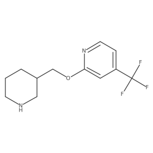2-(Piperidin-3-ylmethoxy)-4-(trifluoromethyl)pyridine Structure