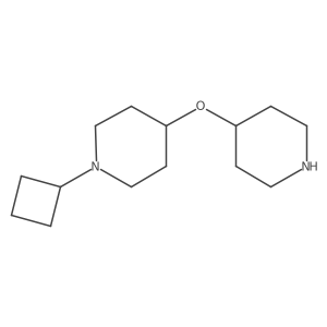 1-Cyclobutyl-4-(4-piperidinyloxy)piperidine Structure
