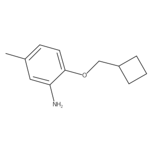 2-(Cyclobutylmethoxy)-5-methylaniline Structure