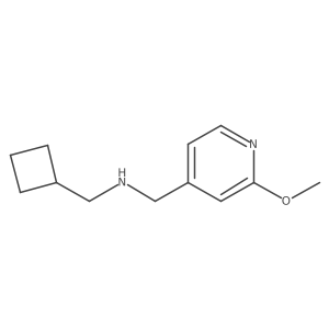(Cyclobutylmethyl)[(2-methoxypyridin-4-yl)methyl]amine结构式