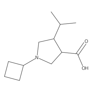 1-Cyclobutyl-4-(propan-2-yl)pyrrolidine-3-carboxylic acid Structure