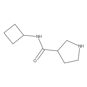 N-cyclobutylpyrrolidine-3-carboxamide Structure